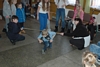 Koło Gospodyń Wiejskich Międzyleś - Choinka